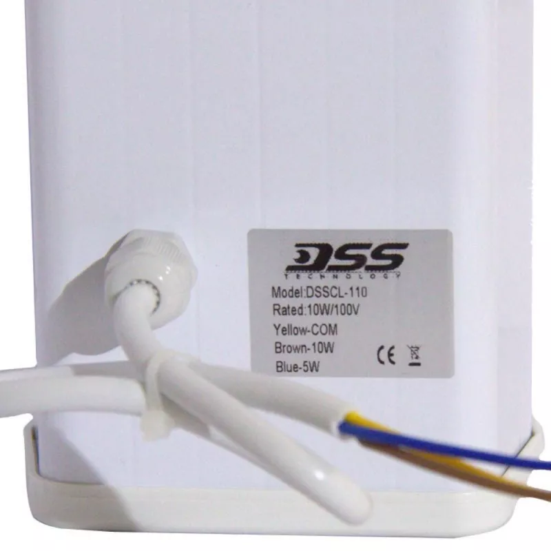 DSSCL-110 Речевой оповещатель 2х2.5'', 10/15 Вт DSSCL-110 Речевой оповещатель 2х2.5'', 10/15 Вт
