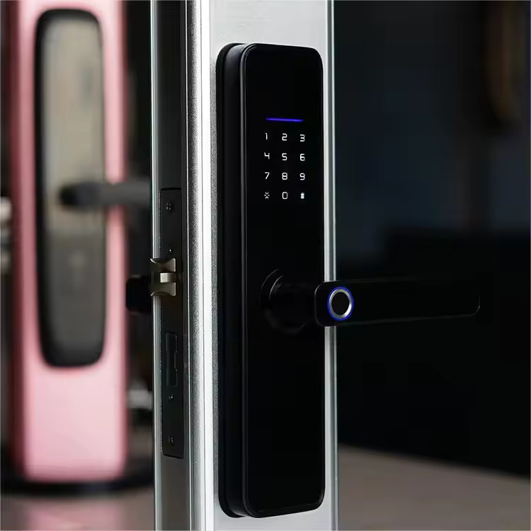 DSS DX6 умный электронный биометрический дверной замок DSS DX6 умный электронный биометрический дверной замок
